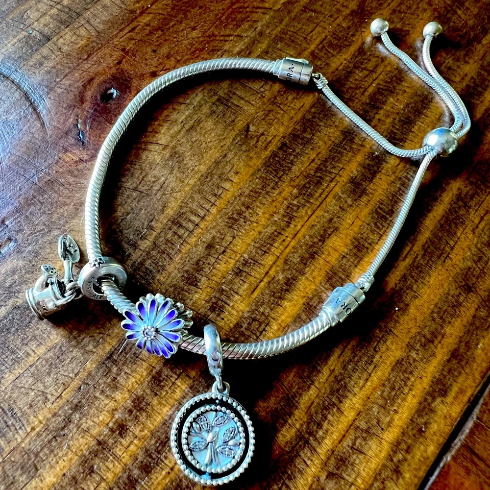 Pandora snake chain slider bracelet with 3 charms